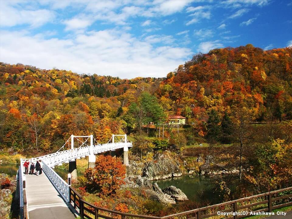 魅力景點，盡在北海道~11月之旅・上~