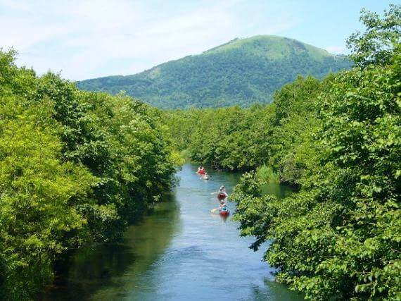 釧路川源流區域獨木舟之旅（綠橋路線）