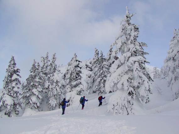 冬季限定的大雪山雪地健行