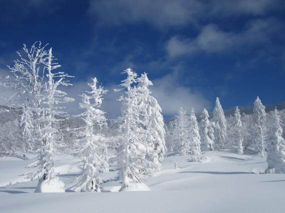 北海道登別溫泉・雪鞋樹冰健行之旅