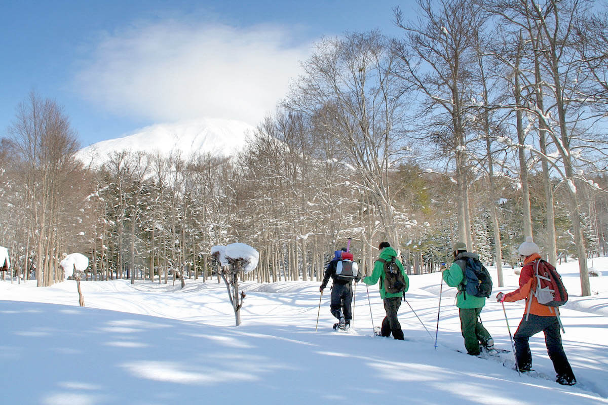 冬季新雪谷森林雪鞋健行之旅半日遊