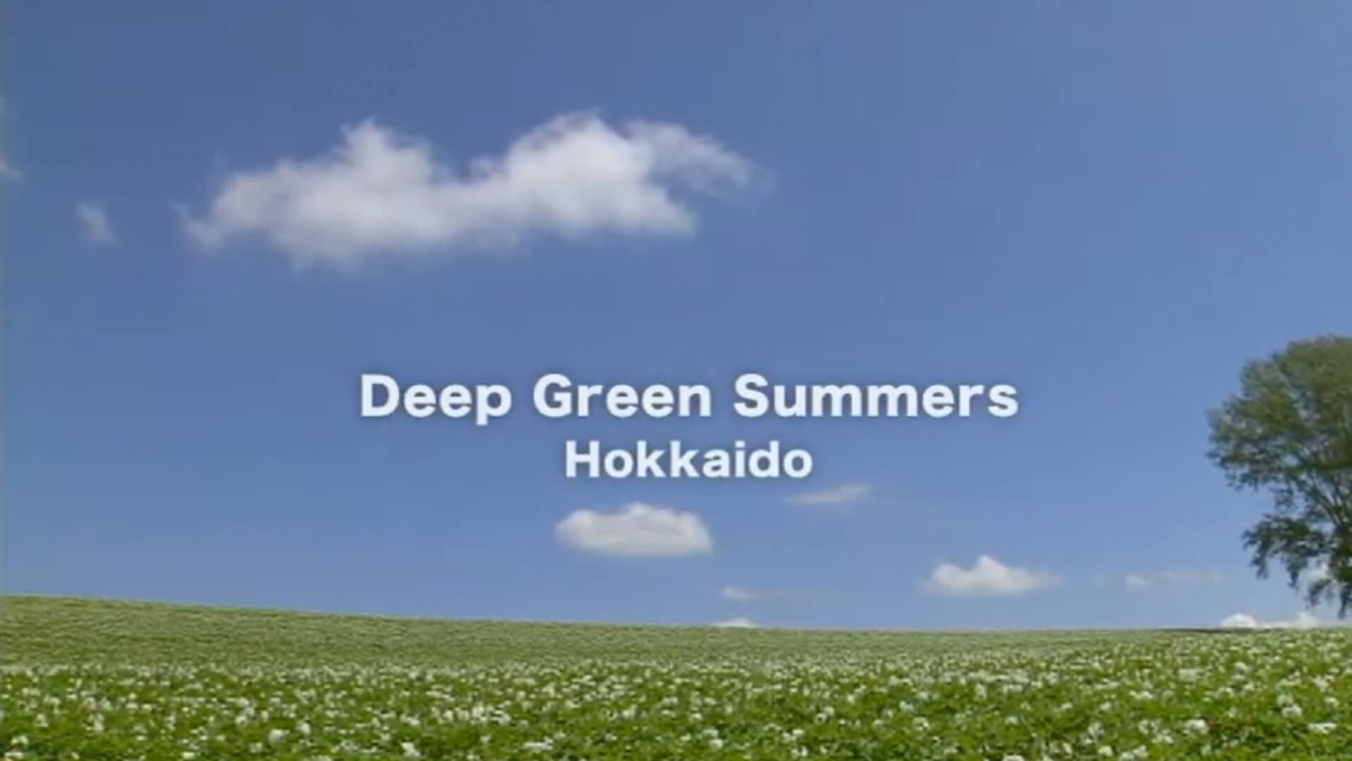 Deep Green Summers