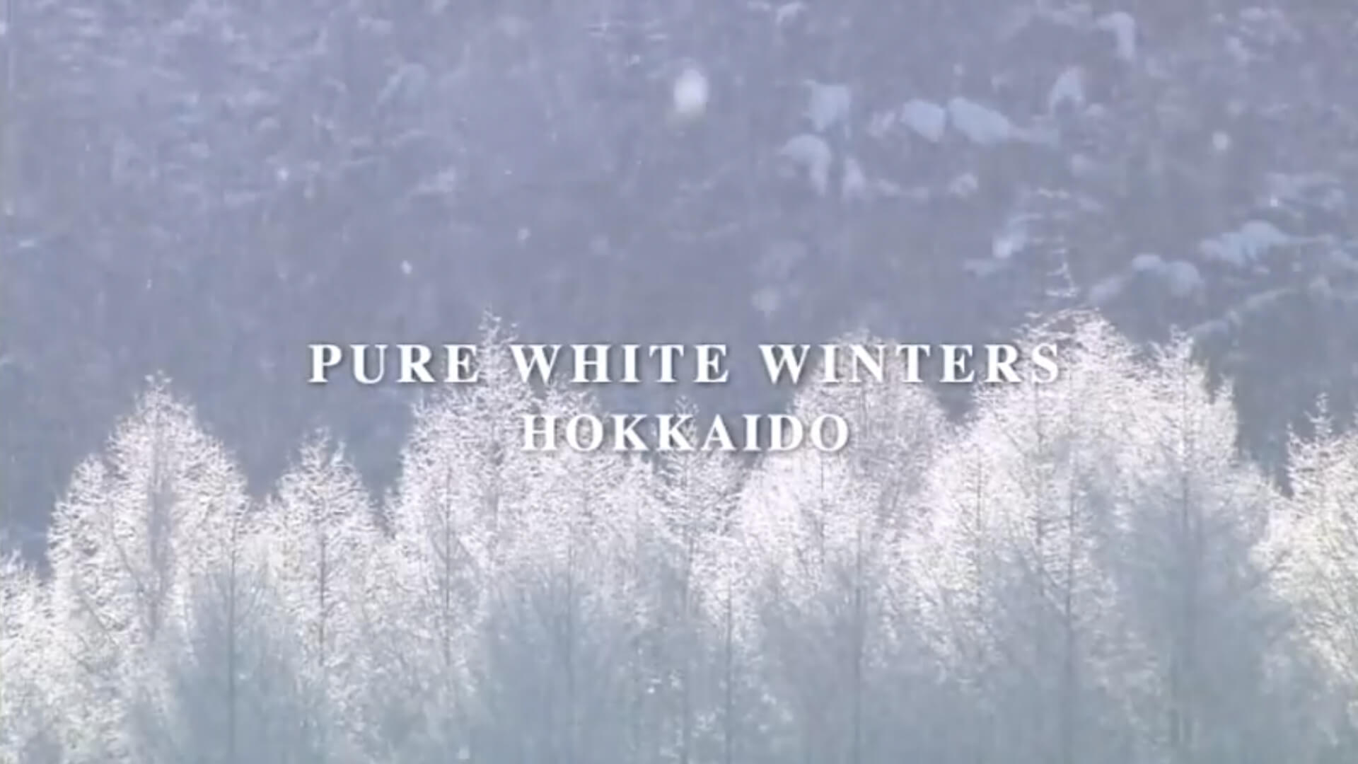 Pure White Winters