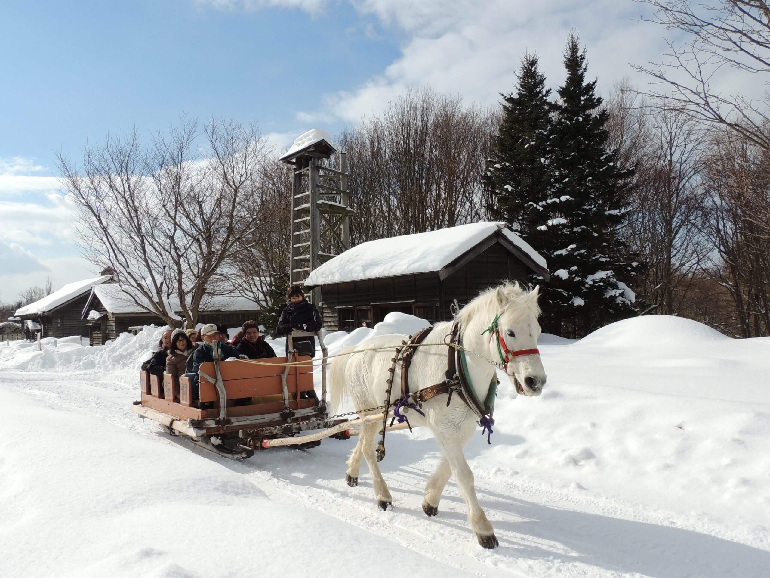 開拓北海道的歷史軌跡「北海道開拓村」