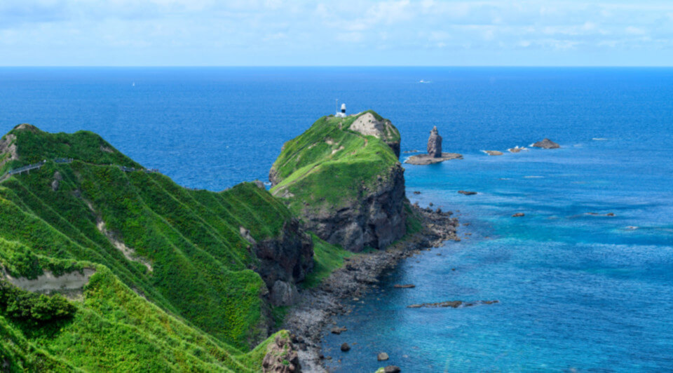 美食美景美花！北海道魅力一次打包~7月之旅~