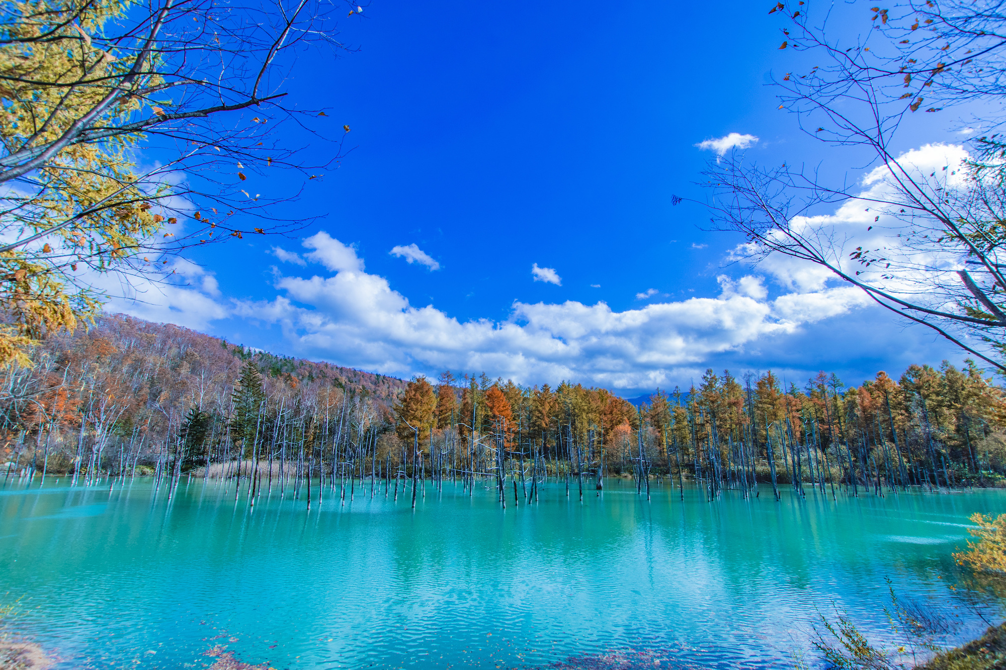 水邊美景與溫泉巡遊