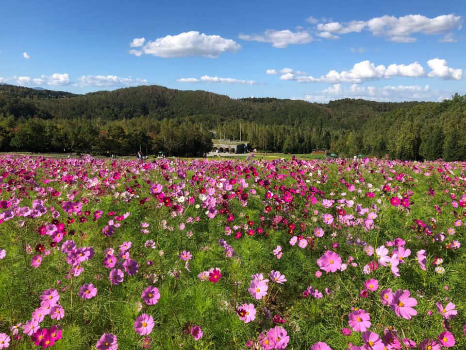 歡迎光臨，北海道~9月之旅・下~