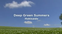 Deep Green Summers