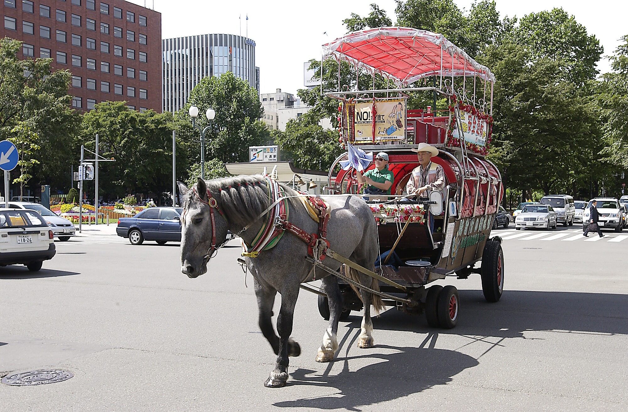 札幌市區的另類觀光手段「札幌觀光馬車」