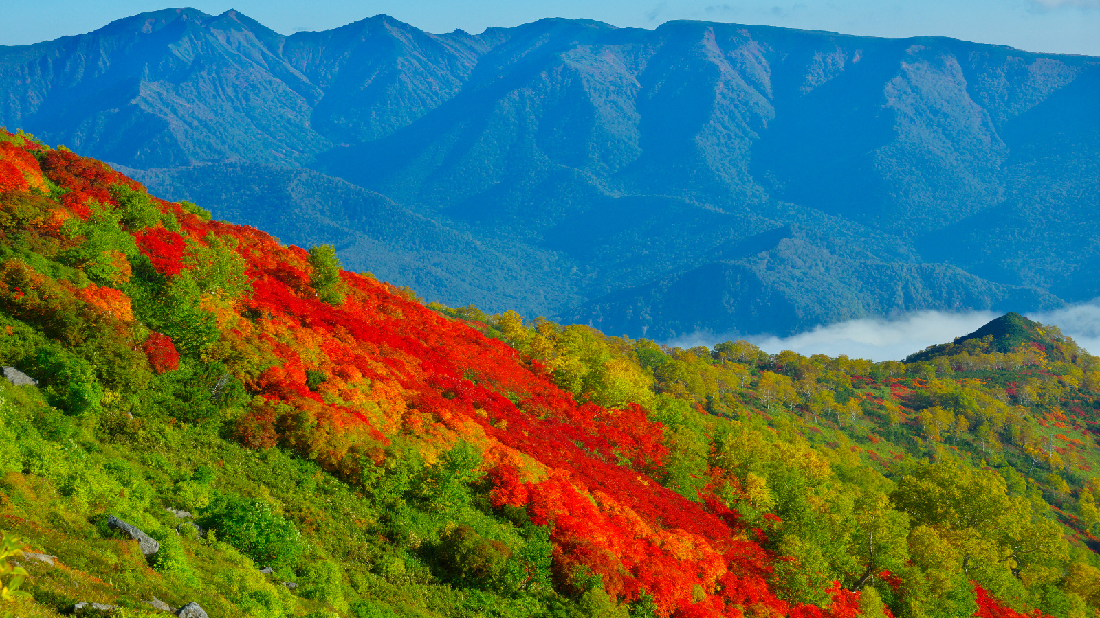 全日本最早可以看到紅葉的地區「赤岳銀泉台」