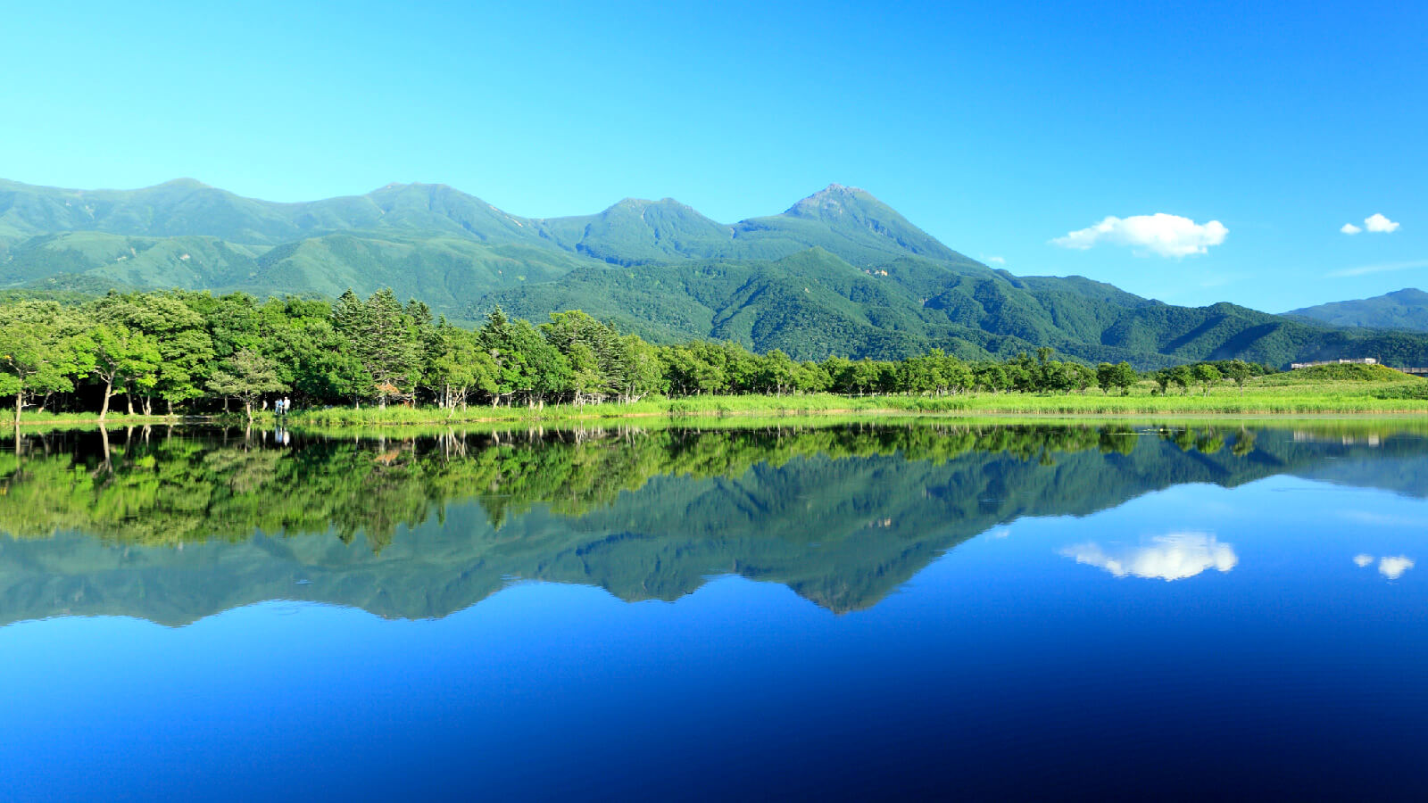 北國的世界自然遺產湖群「知床五湖」