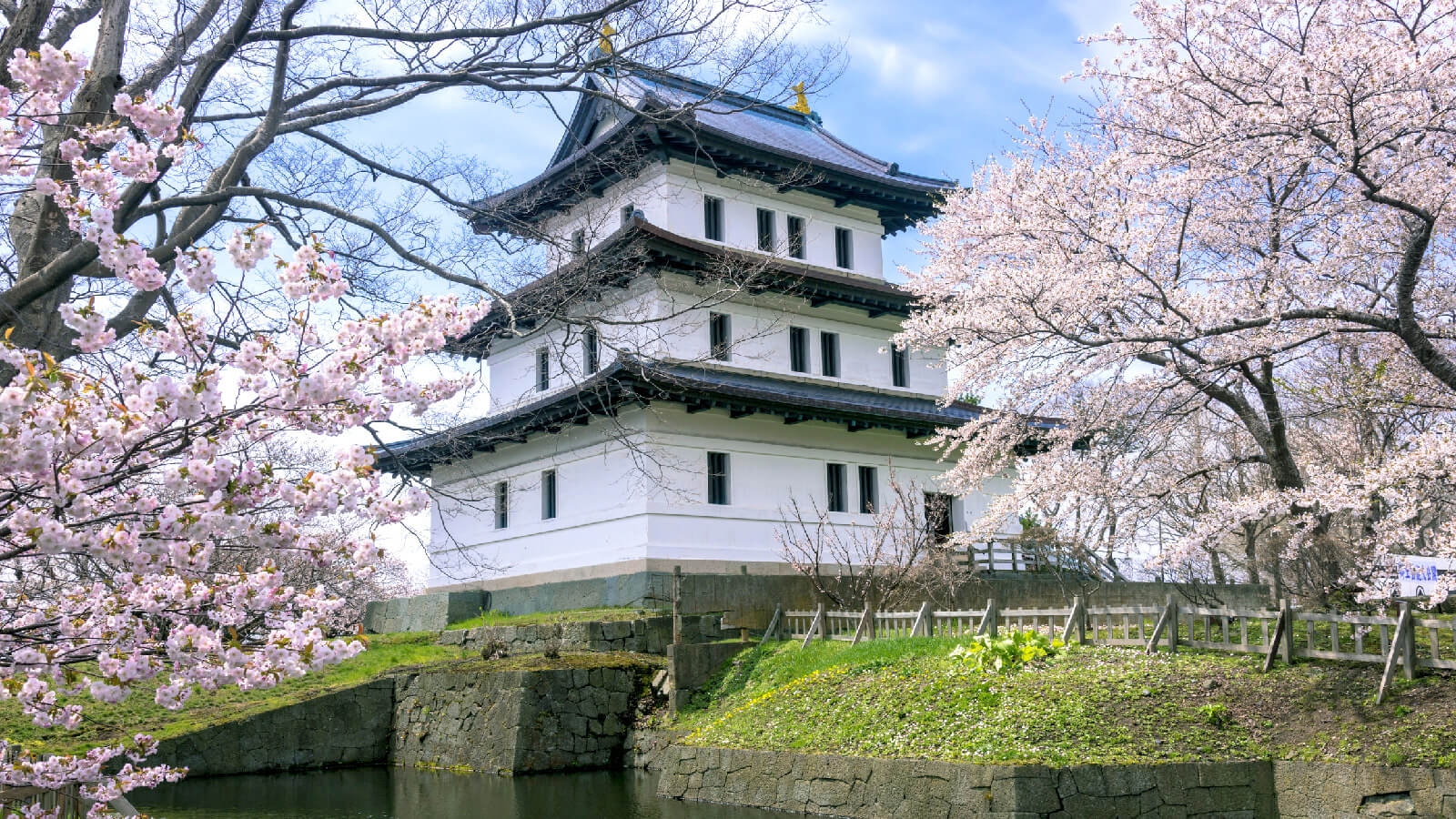 到北海道唯一的城下町・松前公園（松前城）賞櫻