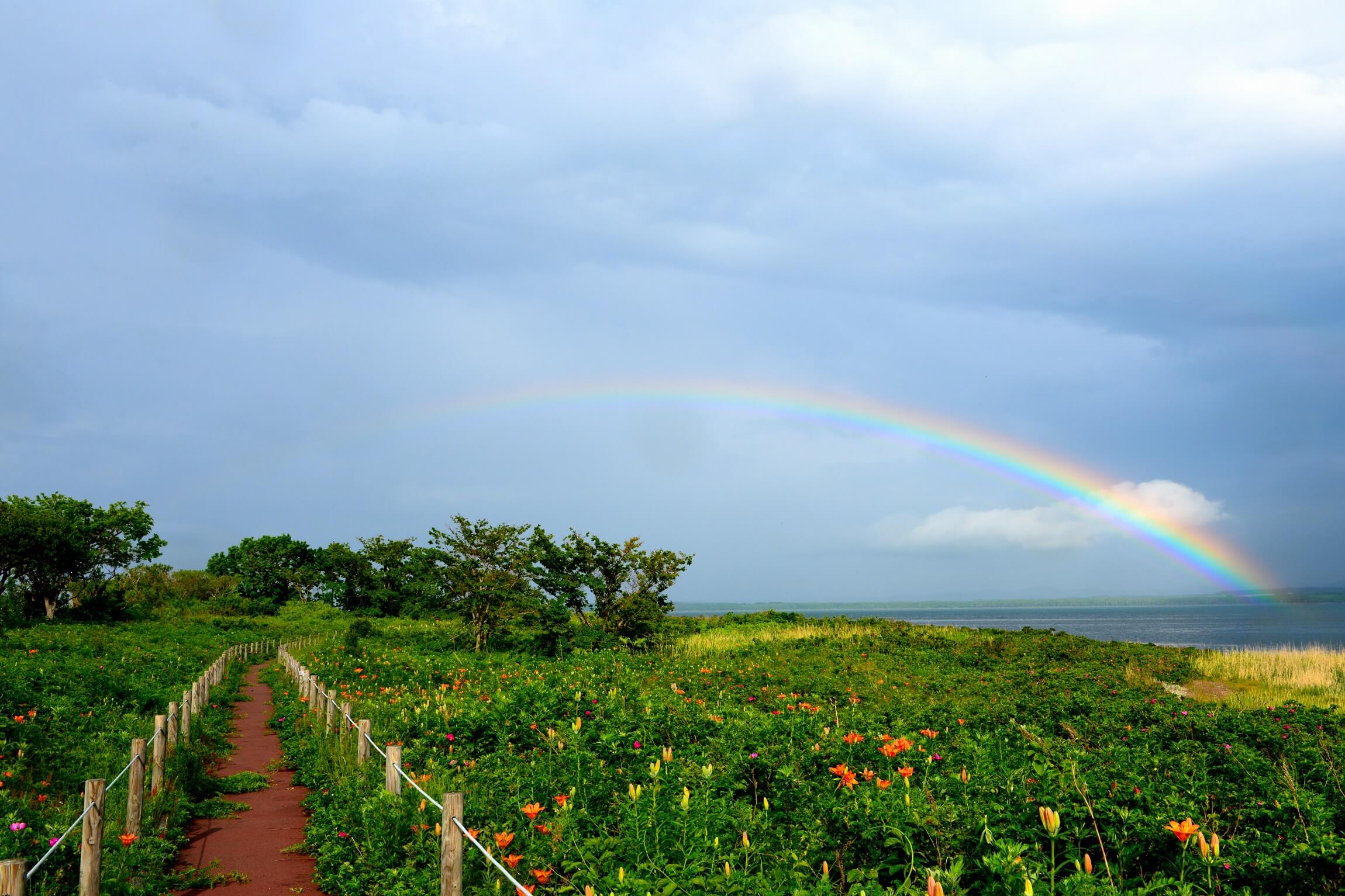 Wakka原生花園：日本最大規模的海岸草原