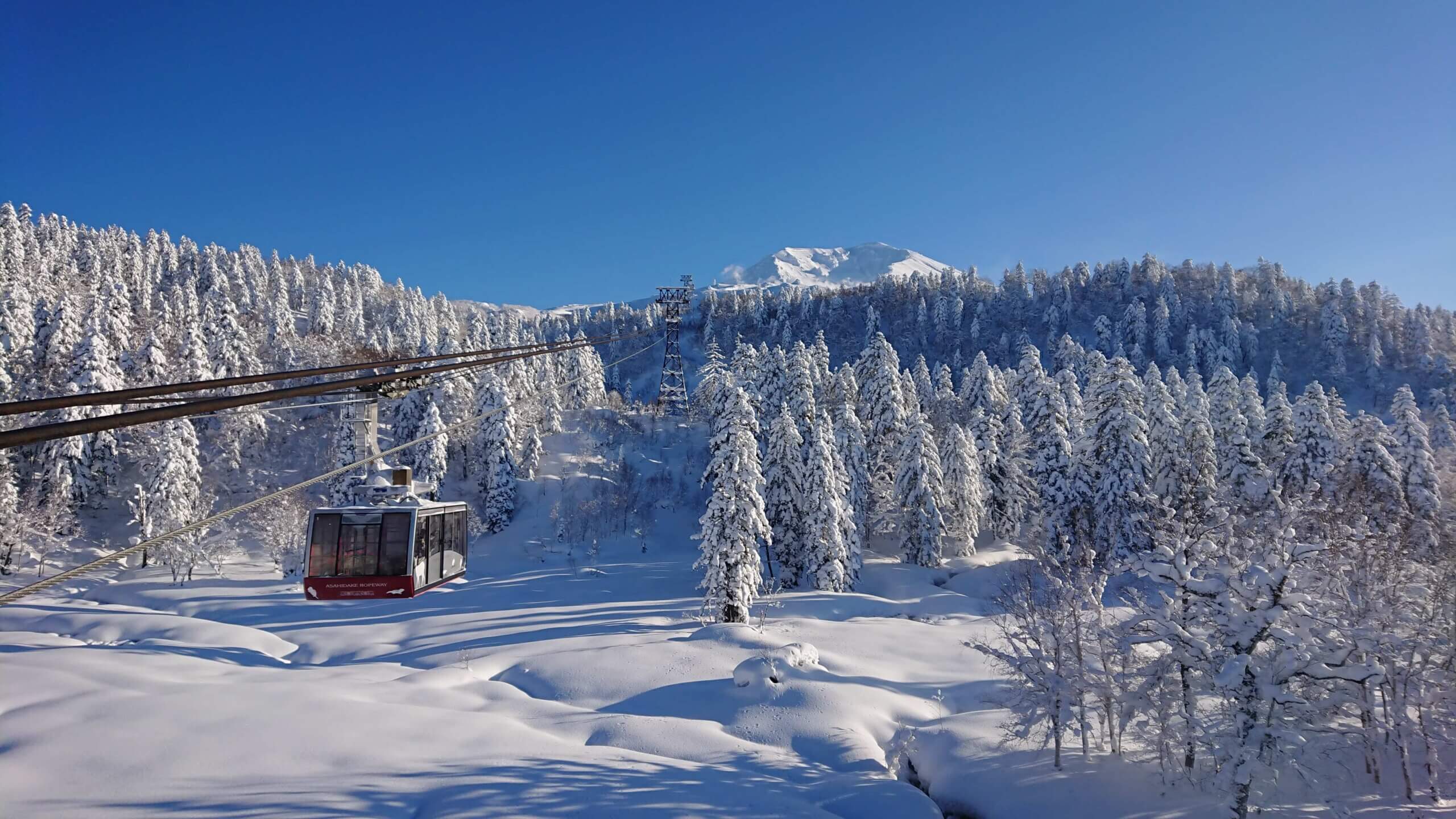 大雪山旭岳纜車：俯瞰大雪山旭岳的壯闊風景！