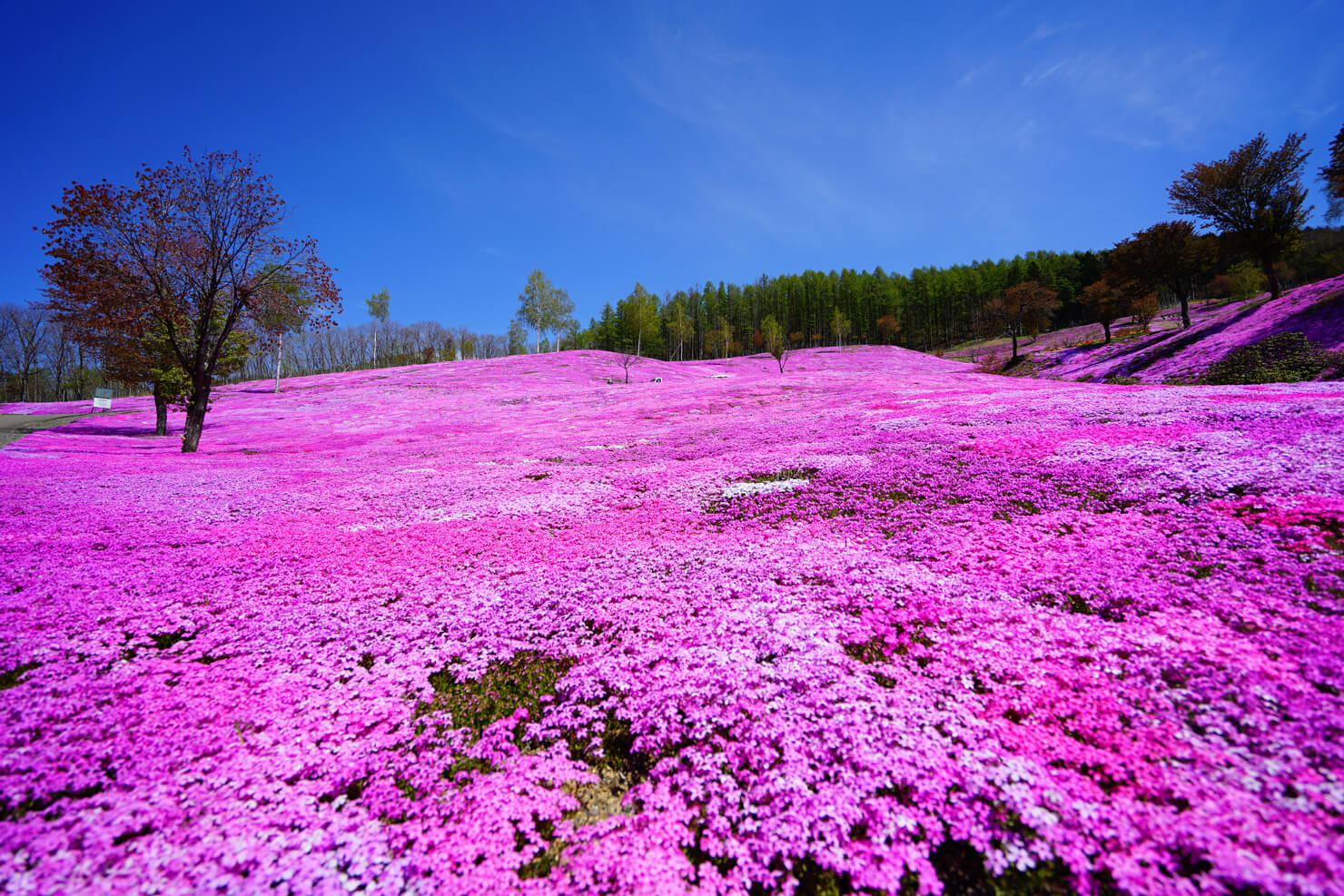 絕景北海道・下