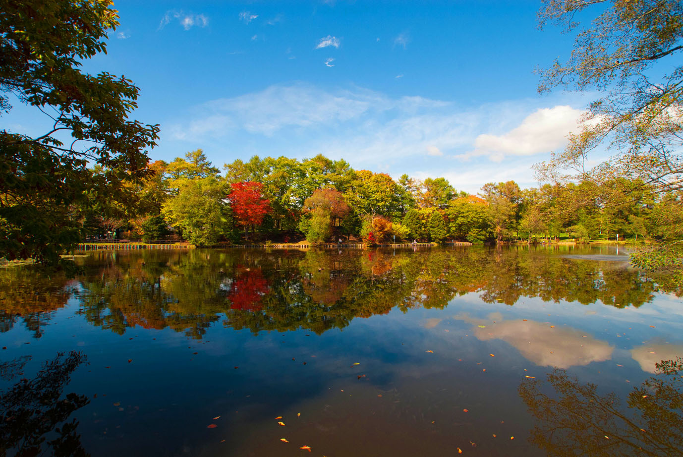 八郎沼公園：以櫻花為一年之始，可以欣賞百花與秋季楓紅的美麗公園