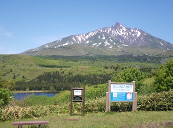 利尻島當地人氣美食與遨遊絕景之旅