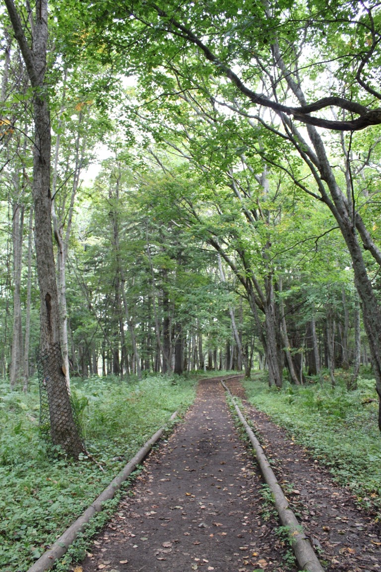 BOKKE自然地探勝路：探索泥火山的自然奇觀！幸運的話還能巧遇野生小動物