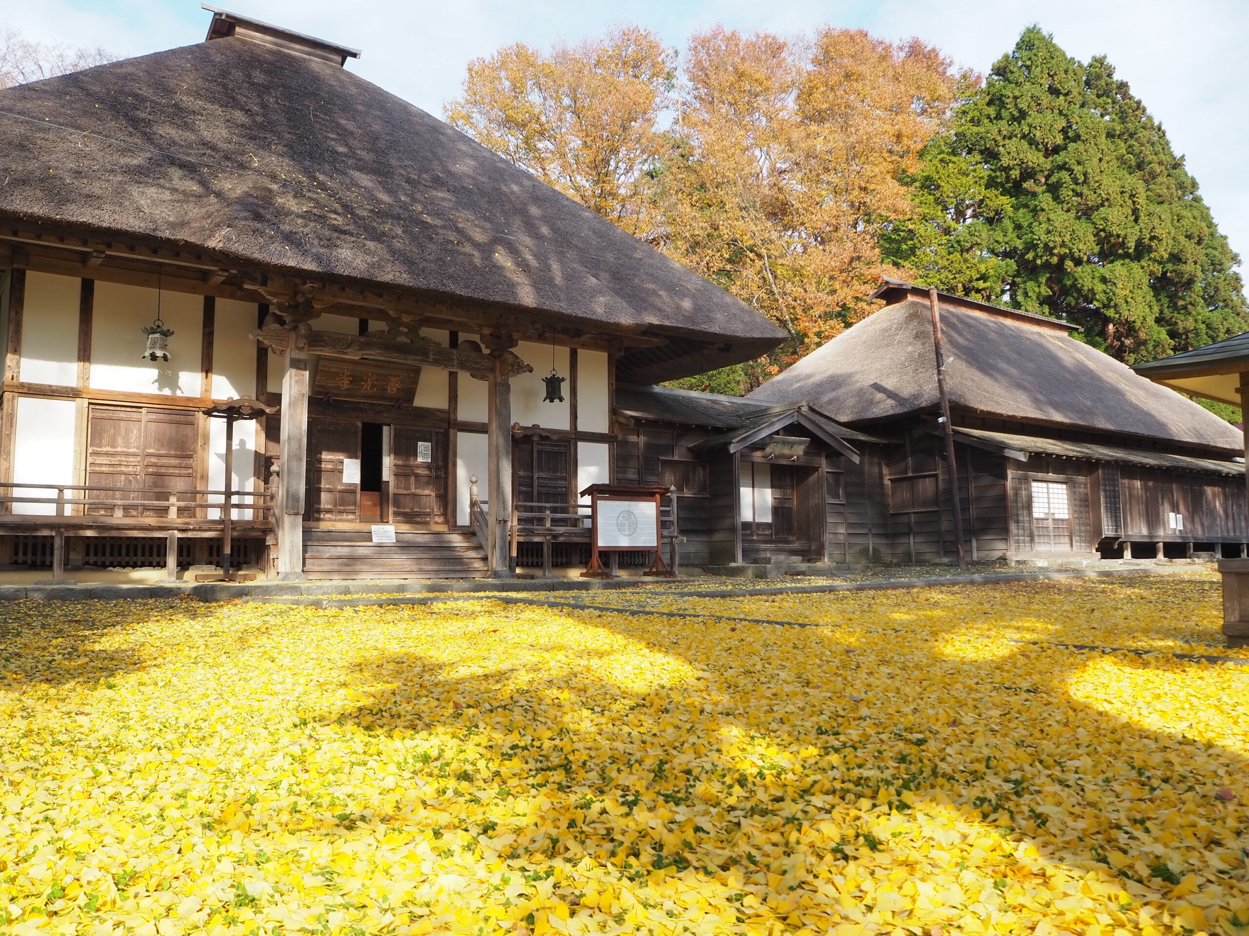 有珠善光寺：擁有1200年悠久歷史、四季綻放不同花朵的美麗寺廟