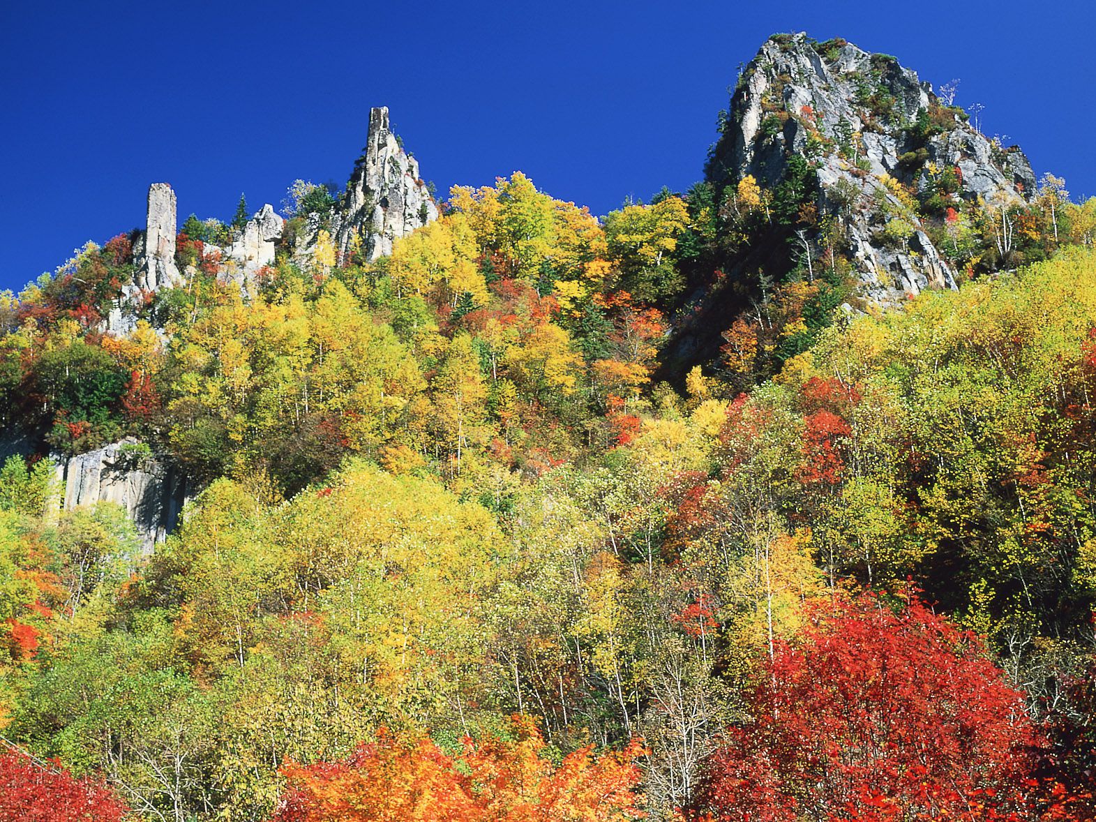 不容錯過！值得一訪的北海道觀賞紅葉景點