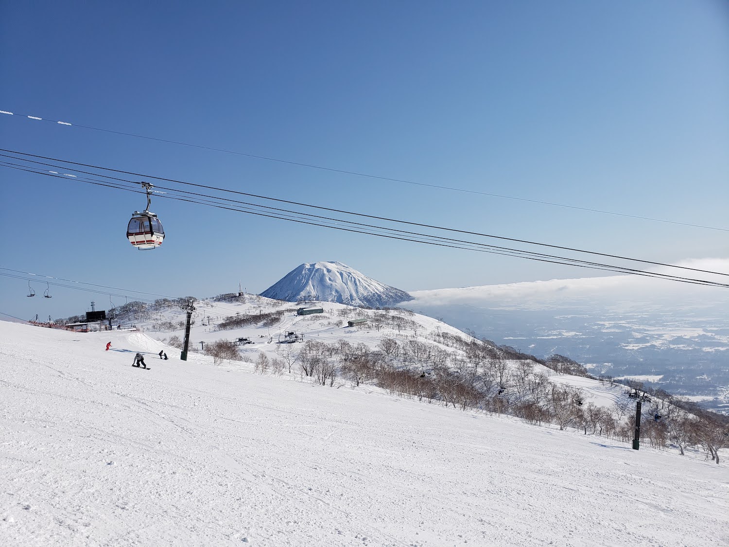 雪上活動