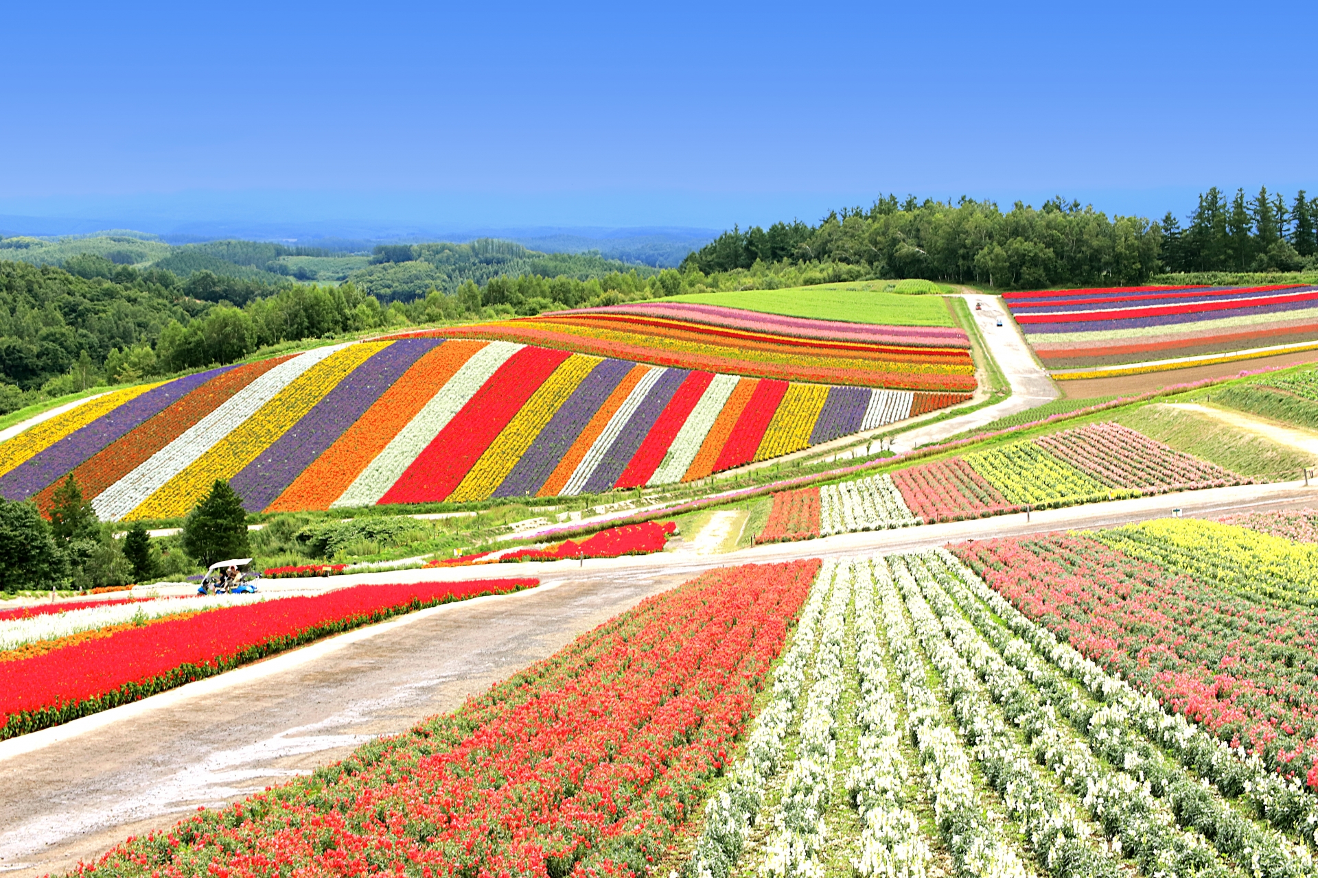 富良野、美瑛