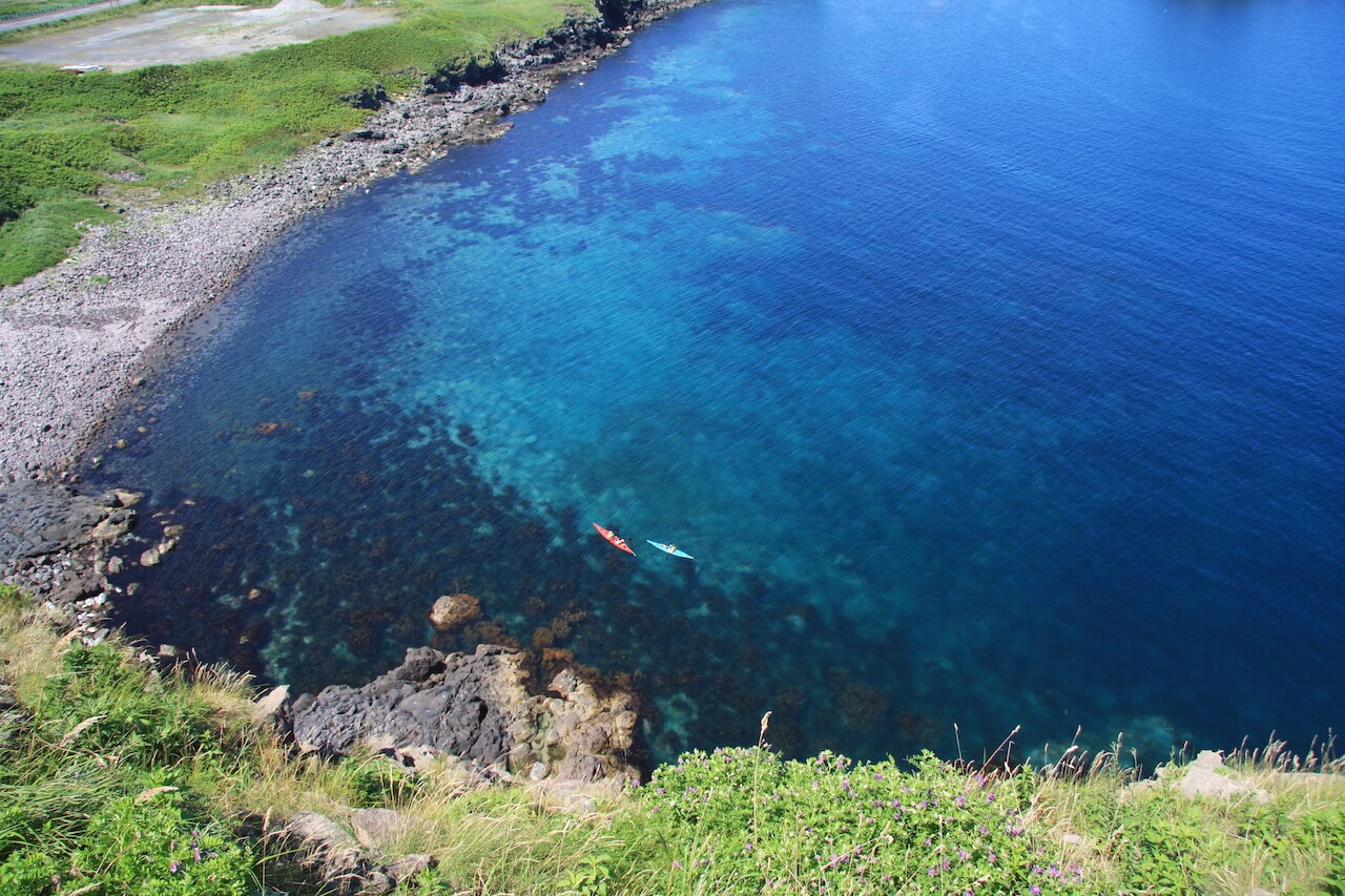 在利尻島和禮文島賞花健行