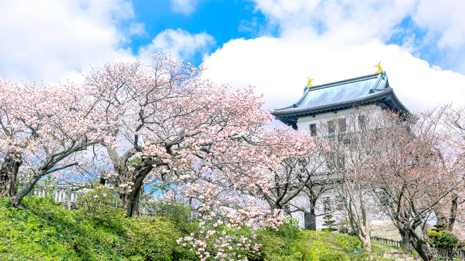 松前公園